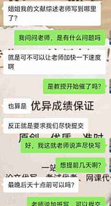 留学生关于literature review代写服务补充的信息